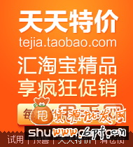 天天特價(jià)如何優(yōu)化寶貝標(biāo)題及頁(yè)面4