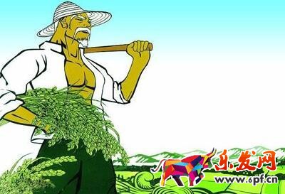 店鋪產(chǎn)量剖析