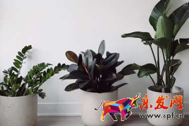 淘寶店企業店鋪開店流程是什么？要多少費用？